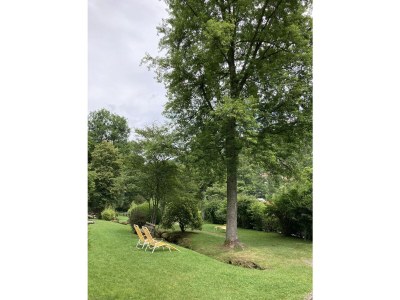 Holiday apartment Die grüne Auszeit - Environment photo 20