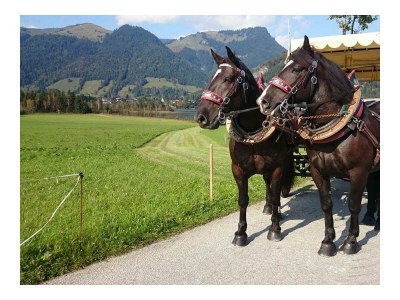 Holiday room Bauernkammer, Dusche und Badewanne, poolseitig - Outdoor photo 23