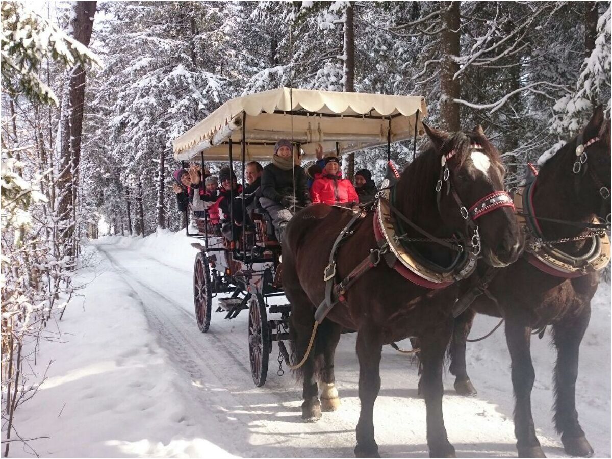 Holiday room Romantikzimmer, Dusche mit WC, nordseitig