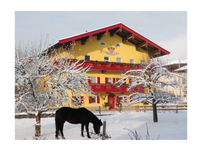 Holiday room Romantikzimmer, Dusche mit WC, nordseitig - Outdoor photo 3