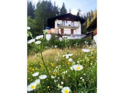 Apartment Studio, Dusche, WC, ruhig - Outdoor photo 6