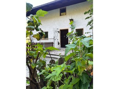 Apartment Studio, Dusche, WC, ruhig - Outdoor photo 7