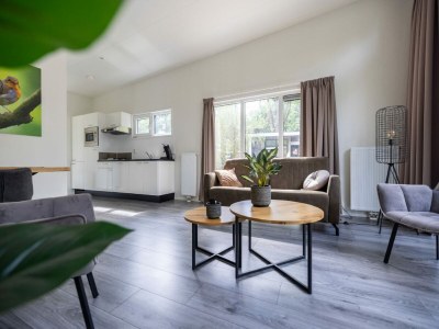 Holiday park Schickes Chalet in Hoenderloo - Features photo 12