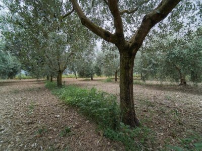 Cottage Eleganter Rückzugsort in Umbrien - Environment photo 26