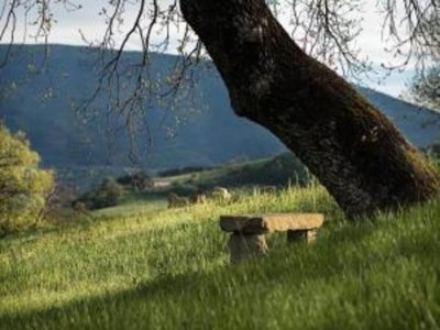 Cottage Eleganter Rückzugsort in Umbrien - Environment photo 27