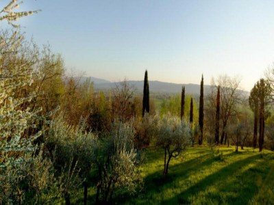 Cottage Eleganter Rückzugsort in Umbrien - Environment photo 30