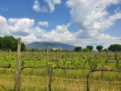 Cottage Eleganter Rückzugsort in Umbrien - Environment photo 37