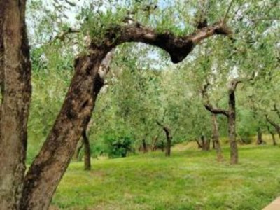 Cottage Eleganter Rückzugsort in Umbrien - Environment photo 39