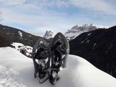 Holiday apartment Alpenhof Dolomitenblick - Environment photo 17