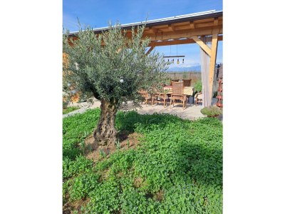 Holiday house Irmi s Apartment am Gardasee - Outdoor photo 6