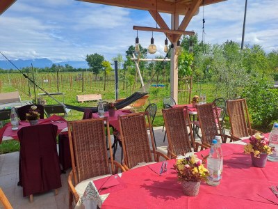 Holiday house Irmi s Apartment am Gardasee - Outdoor photo 11