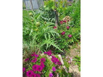 Holiday house Irmi s Apartment am Gardasee - Outdoor photo 13