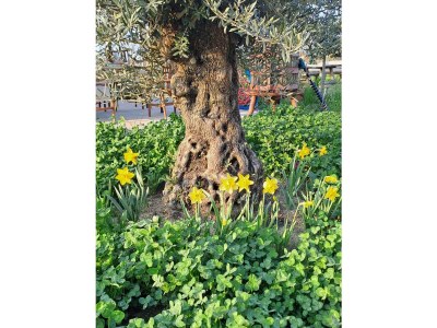 Holiday house Irmi s Apartment am Gardasee - Outdoor photo 16