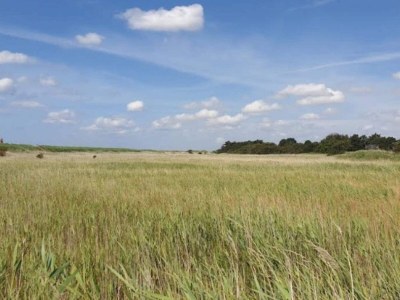 Holiday house 5 Personen Ferienhaus in Asaa-By Traum - Outdoor photo 5