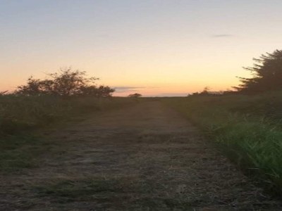 Holiday house 5 Personen Ferienhaus in Asaa-By Traum - Outdoor photo 15