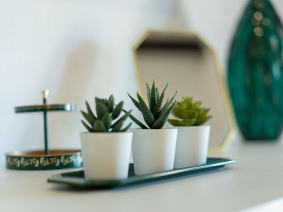 Villa Villa Barotul with pool - Outdoor photo 16