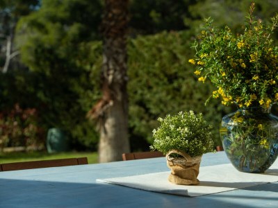 Villa Villa Barotul with pool - Outdoor photo 29