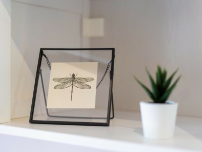 Villa Villa Barotul with pool - Outdoor photo 31