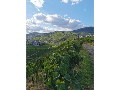 Apartment 5-Bett-Ferienhaus Dusche/WC, 2 Schlafzimmer - Outdoor photo 16