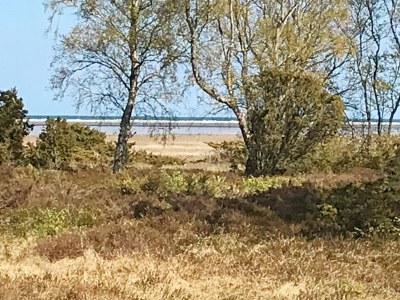 Holiday house 6 Personen Ferienhaus in Hadsund-By Traum - Outdoor photo 7