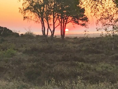 Holiday house 6 Personen Ferienhaus in Hadsund-By Traum - Outdoor photo 9