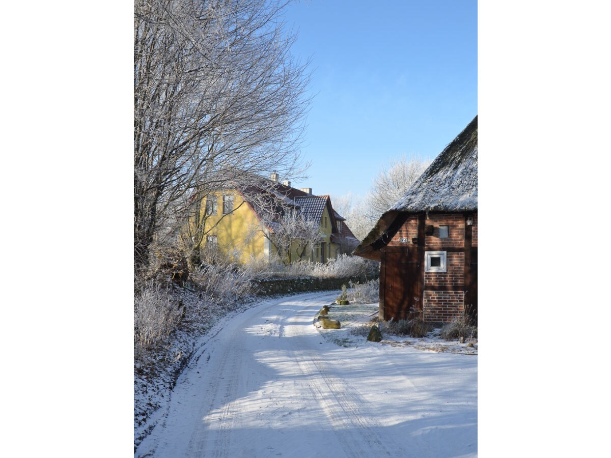 Holiday apartment Möschl - Outdoor photo 4