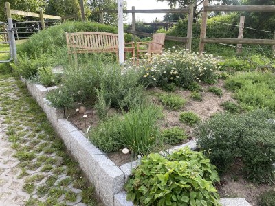 Holiday apartment Möschl - Outdoor photo 5