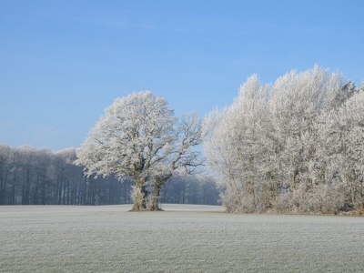 Holiday apartment Möschl - Environment photo 12