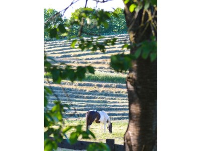 Holiday apartment Möschl - Environment photo 13