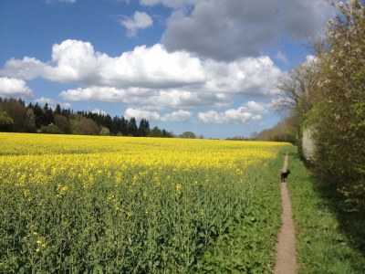 Holiday apartment Möschl - Environment photo 14