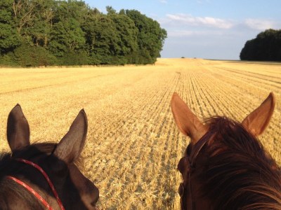 Holiday apartment Möschl - Environment photo 16