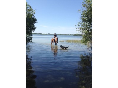 Holiday apartment Möschl - Environment photo 17