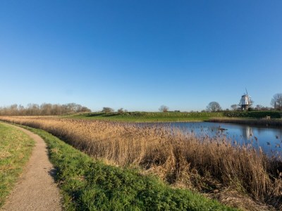 Holiday house Holiday Home in Veere near Historic Center - Environment photo 20