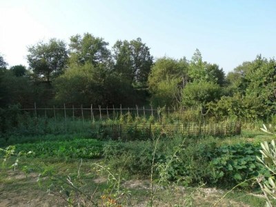 Holiday house Casa Renino - Outdoor photo 8