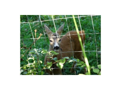 Holiday house Casa Renino - Outdoor photo 10