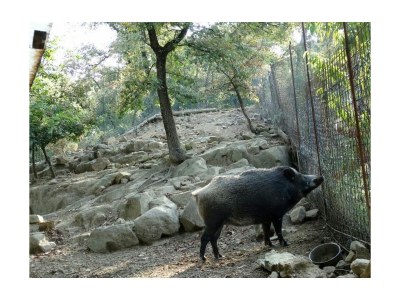 Holiday house Casa Renino - Outdoor photo 11