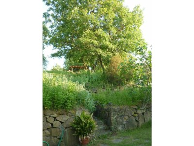 Holiday house Casa Renino - Outdoor photo 20