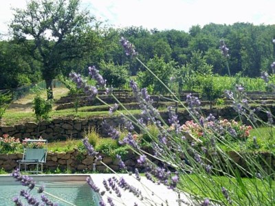 Holiday house Casa Renino - Outdoor photo 21