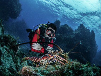 Holiday park Chalet in Zeeland with Sauna by the Water - Environment photo 23