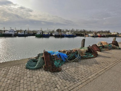 Holiday park Chalet in Zeeland with Sauna by the Water - Environment photo 30