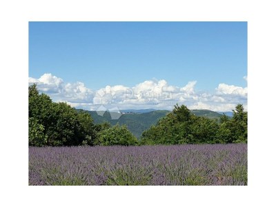 Holiday house Villa Vinoselo - Environment photo 39