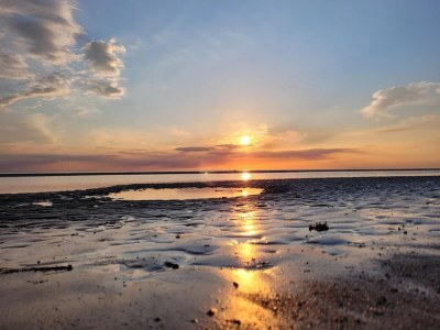 Apartment Ferienwohnung in St.Peter Ording - Outdoor photo 37