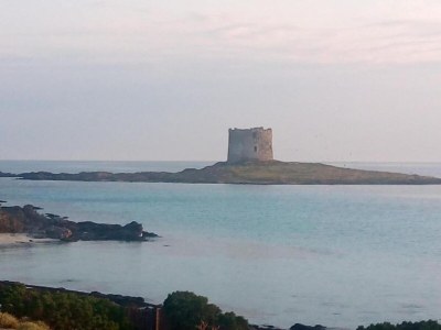 Holiday house Seaside Villa Retreat in Stintino - Environment photo 23