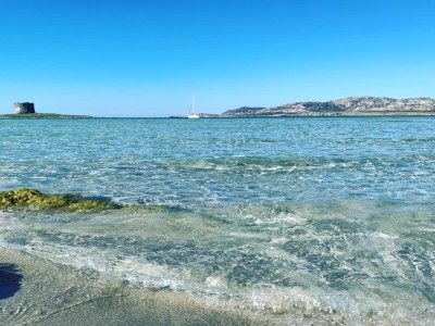 Holiday house Seaside Villa Retreat in Stintino - Environment photo 25