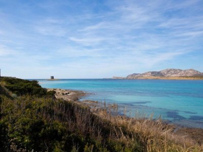 Holiday house Seaside Villa Retreat in Stintino - Environment photo 29