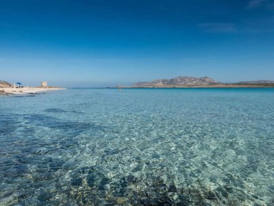 Holiday house Seaside Villa Retreat in Stintino - Environment photo 31