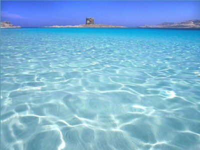 Holiday house Seaside Villa Retreat in Stintino - Environment photo 32