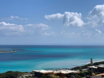 Holiday house Seaside Villa Retreat in Stintino - Environment photo 33