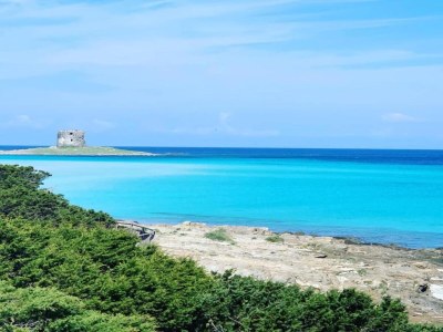 Holiday house Seaside Villa Retreat in Stintino - Environment photo 34