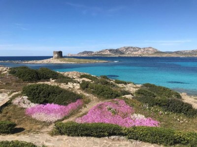 Holiday house Seaside Villa Retreat in Stintino - Environment photo 35